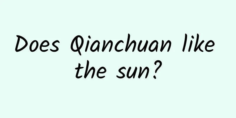 Does Qianchuan like the sun?