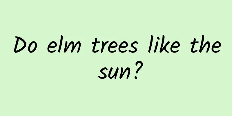 Do elm trees like the sun?