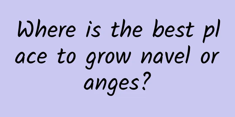 Where is the best place to grow navel oranges?