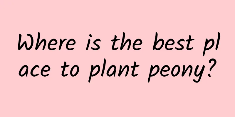 Where is the best place to plant peony?