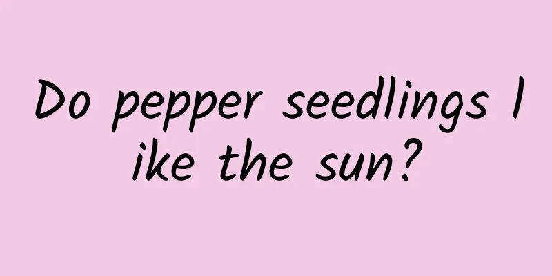 Do pepper seedlings like the sun?