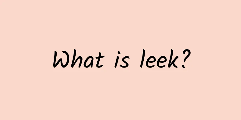 What is leek?