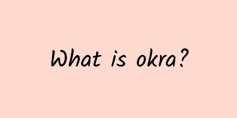 What is okra?
