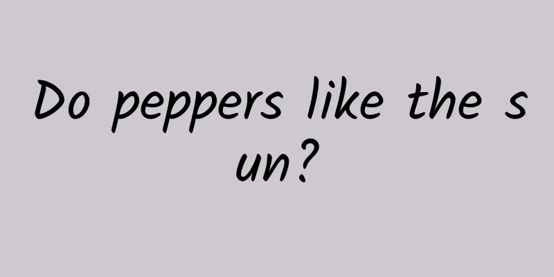 Do peppers like the sun?
