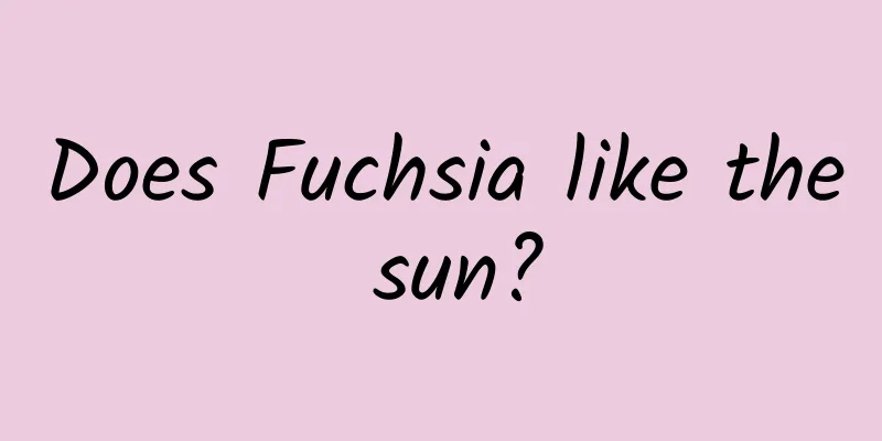 Does Fuchsia like the sun?