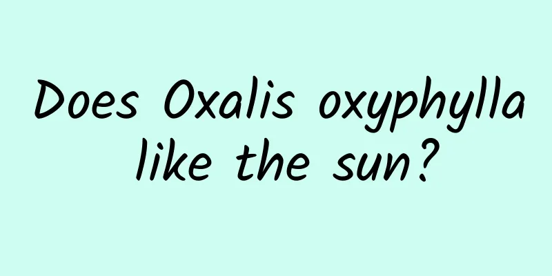 Does Oxalis oxyphylla like the sun?