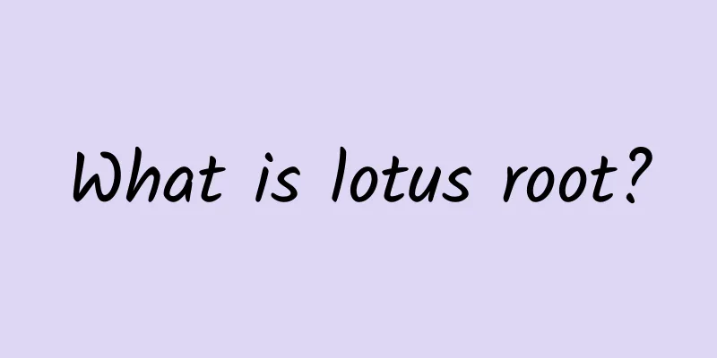 What is lotus root?