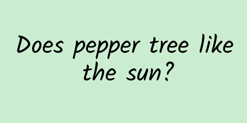 Does pepper tree like the sun?