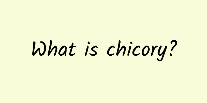 What is chicory?