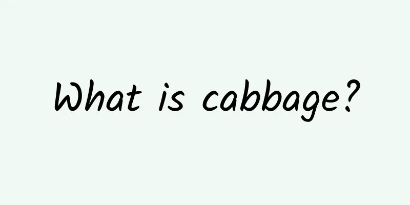 What is cabbage?