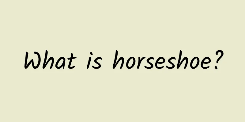 What is horseshoe?