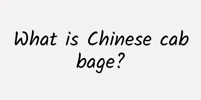 What is Chinese cabbage?