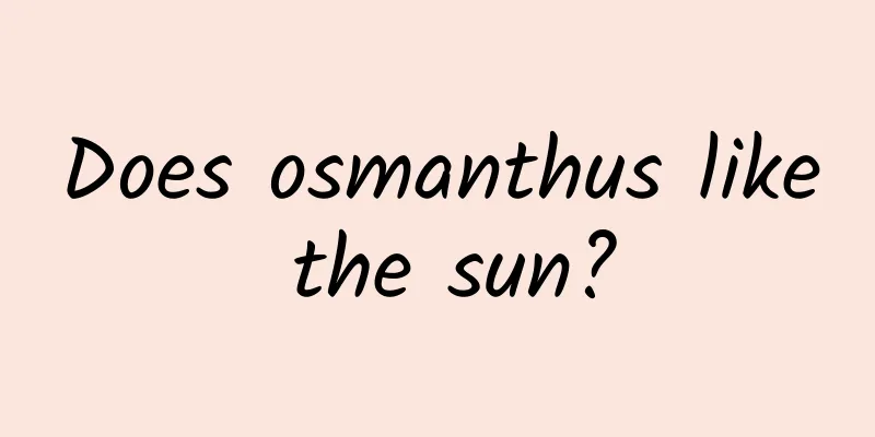 Does osmanthus like the sun?