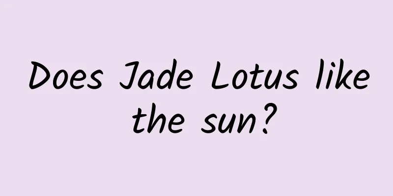 Does Jade Lotus like the sun?