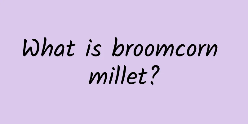 What is broomcorn millet?