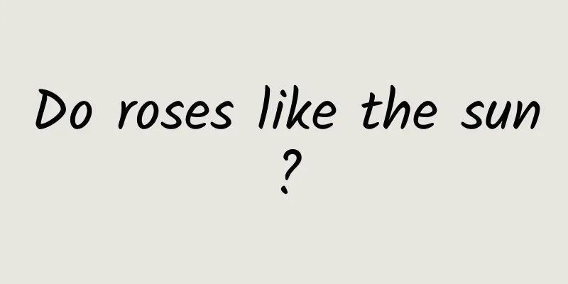 Do roses like the sun?