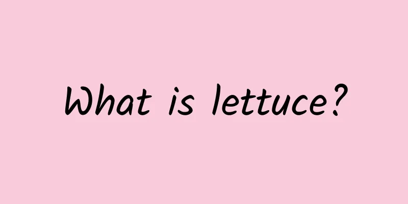 What is lettuce?