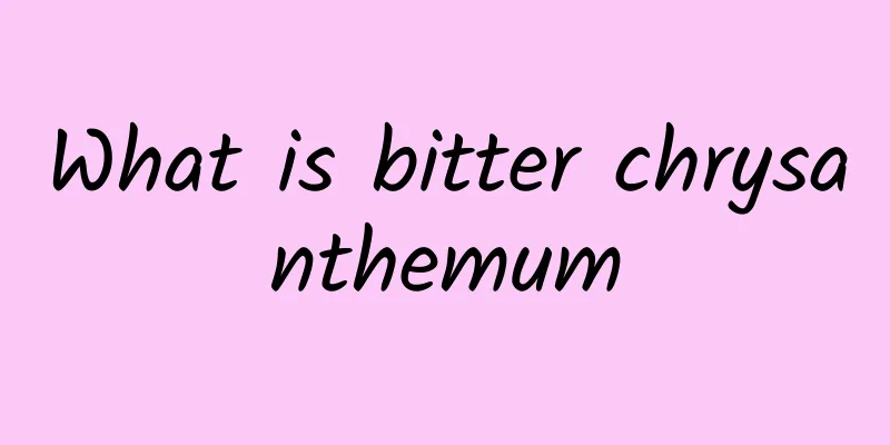 What is bitter chrysanthemum