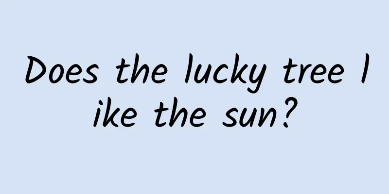 Does the lucky tree like the sun?