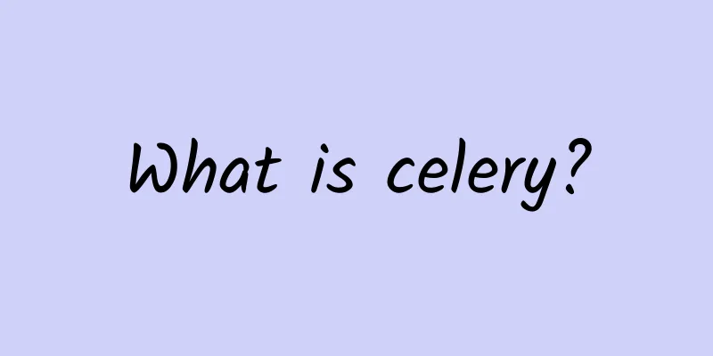 What is celery?