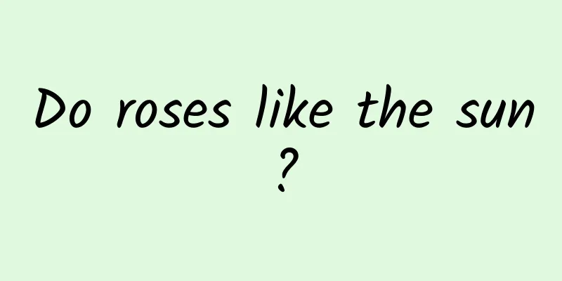 Do roses like the sun?