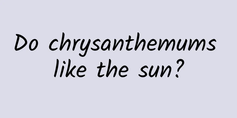 Do chrysanthemums like the sun?