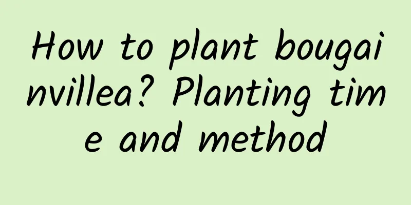How to plant bougainvillea? Planting time and method