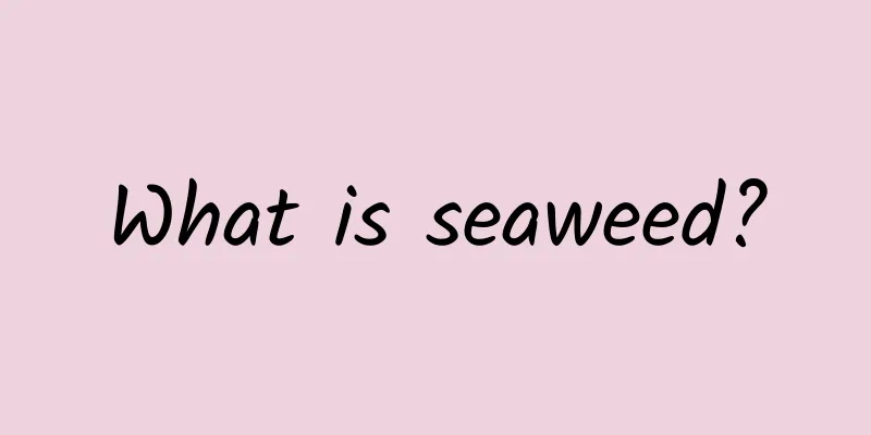 What is seaweed?