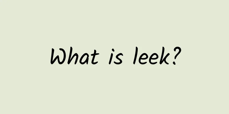 What is leek?