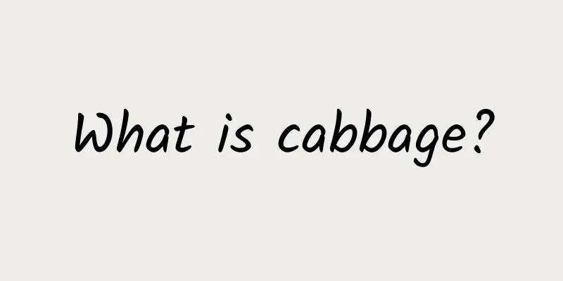 What is cabbage?
