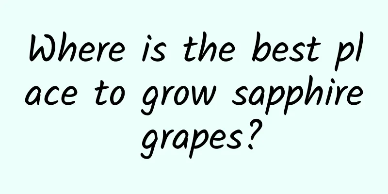Where is the best place to grow sapphire grapes?