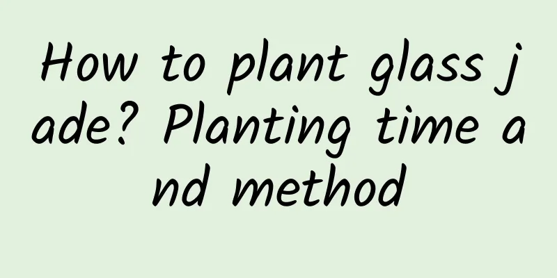How to plant glass jade? Planting time and method