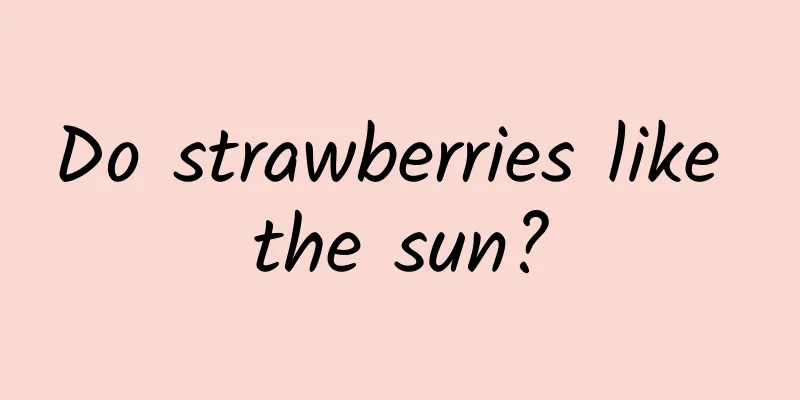 Do strawberries like the sun?