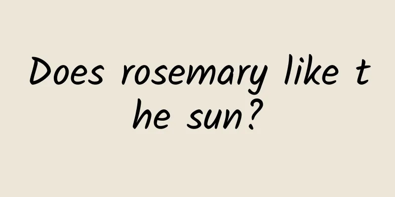 Does rosemary like the sun?