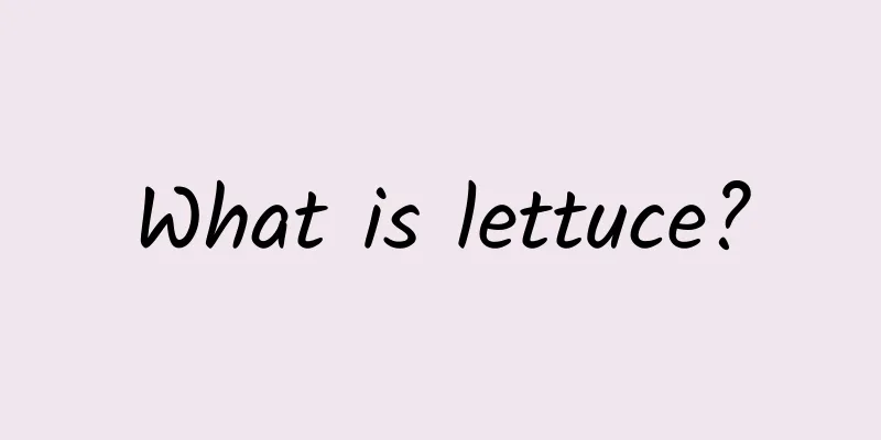 What is lettuce?