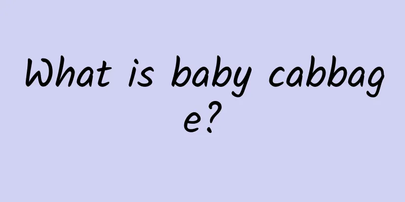 What is baby cabbage?