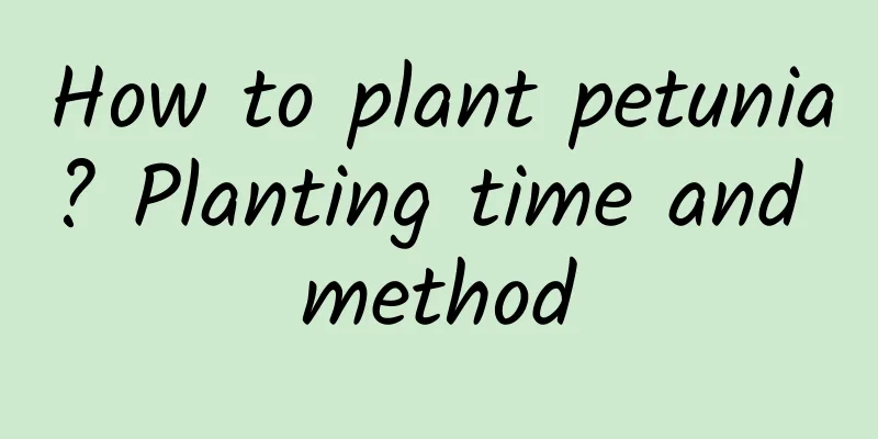How to plant petunia? Planting time and method