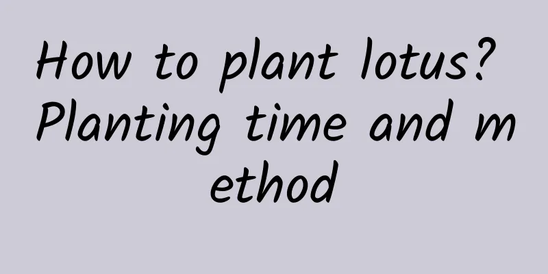 How to plant lotus? Planting time and method