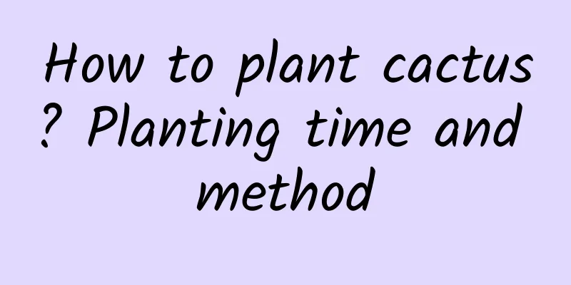How to plant cactus? Planting time and method