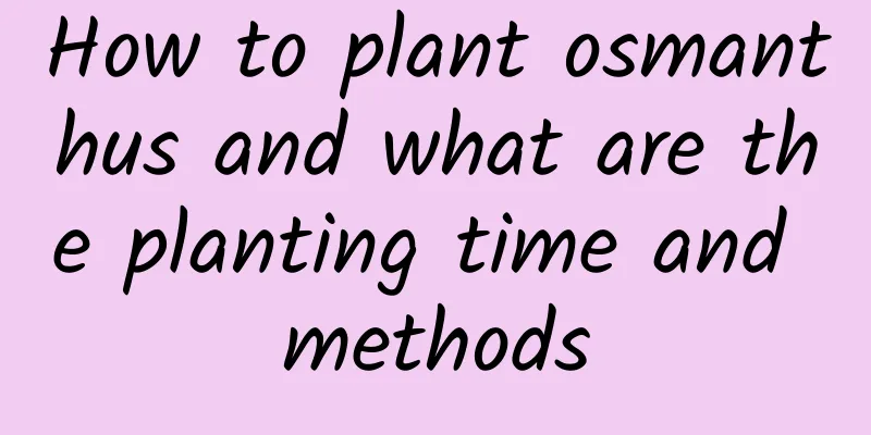How to plant osmanthus and what are the planting time and methods