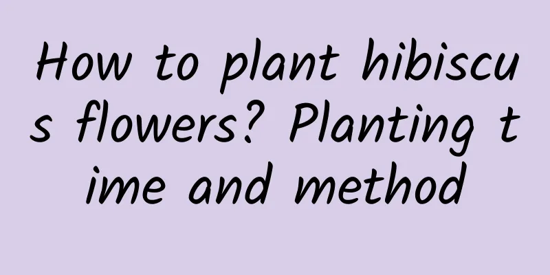 How to plant hibiscus flowers? Planting time and method