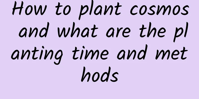 How to plant cosmos and what are the planting time and methods