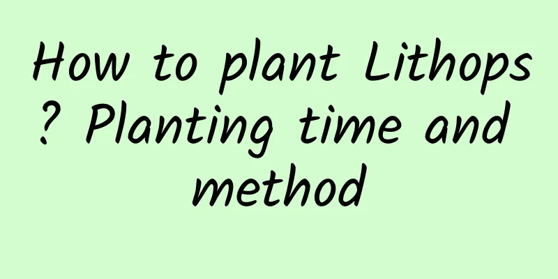 How to plant Lithops? Planting time and method