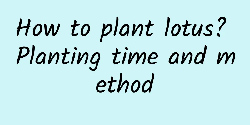 How to plant lotus? Planting time and method