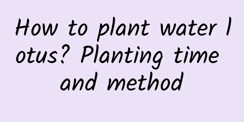 How to plant water lotus? Planting time and method