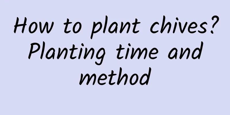 How to plant chives? Planting time and method