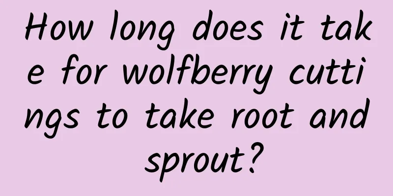 How long does it take for wolfberry cuttings to take root and sprout?