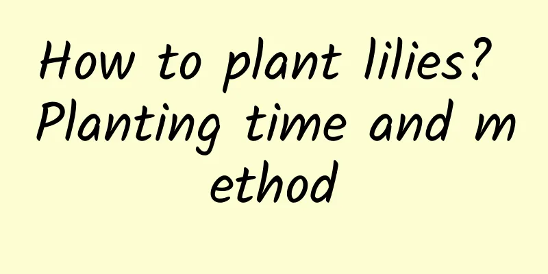 How to plant lilies? Planting time and method