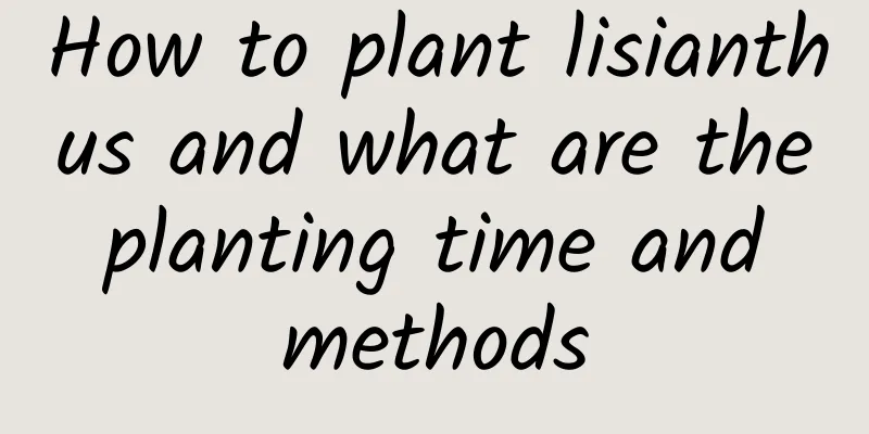 How to plant lisianthus and what are the planting time and methods