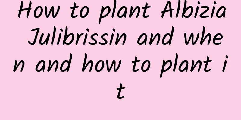 How to plant Albizia Julibrissin and when and how to plant it
